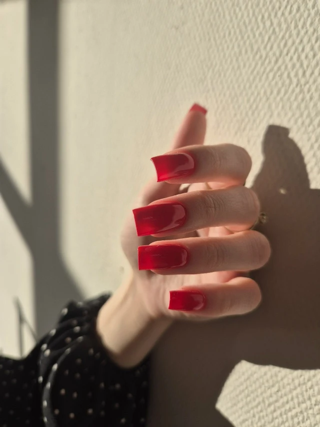 Добрый день 🌷