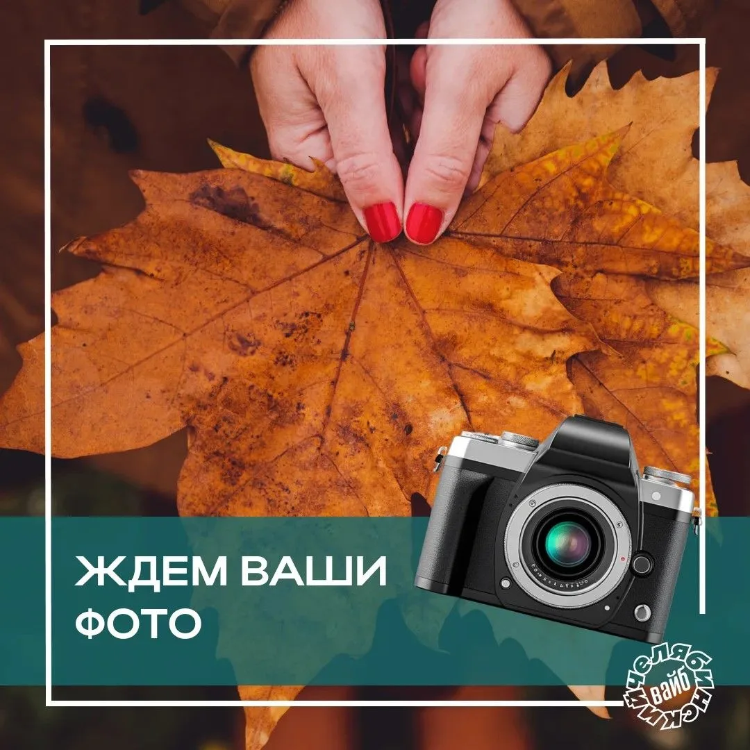 🍁 Самые яркие фото получаются осенью!