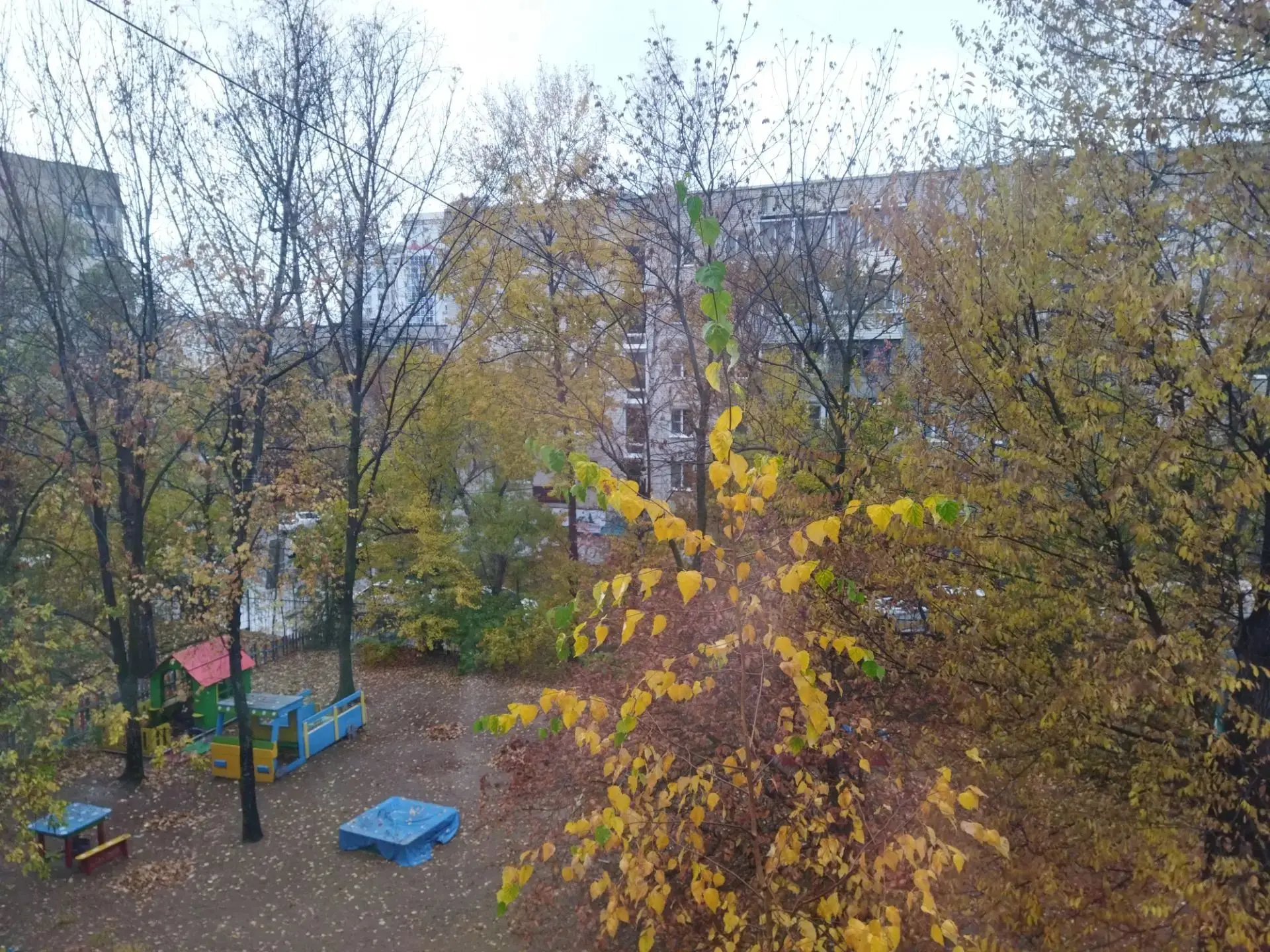 🍂Осенняя погода переменчивая. Вчера было солнышко☀️, а сегодня "весь день льет дождь🌧...