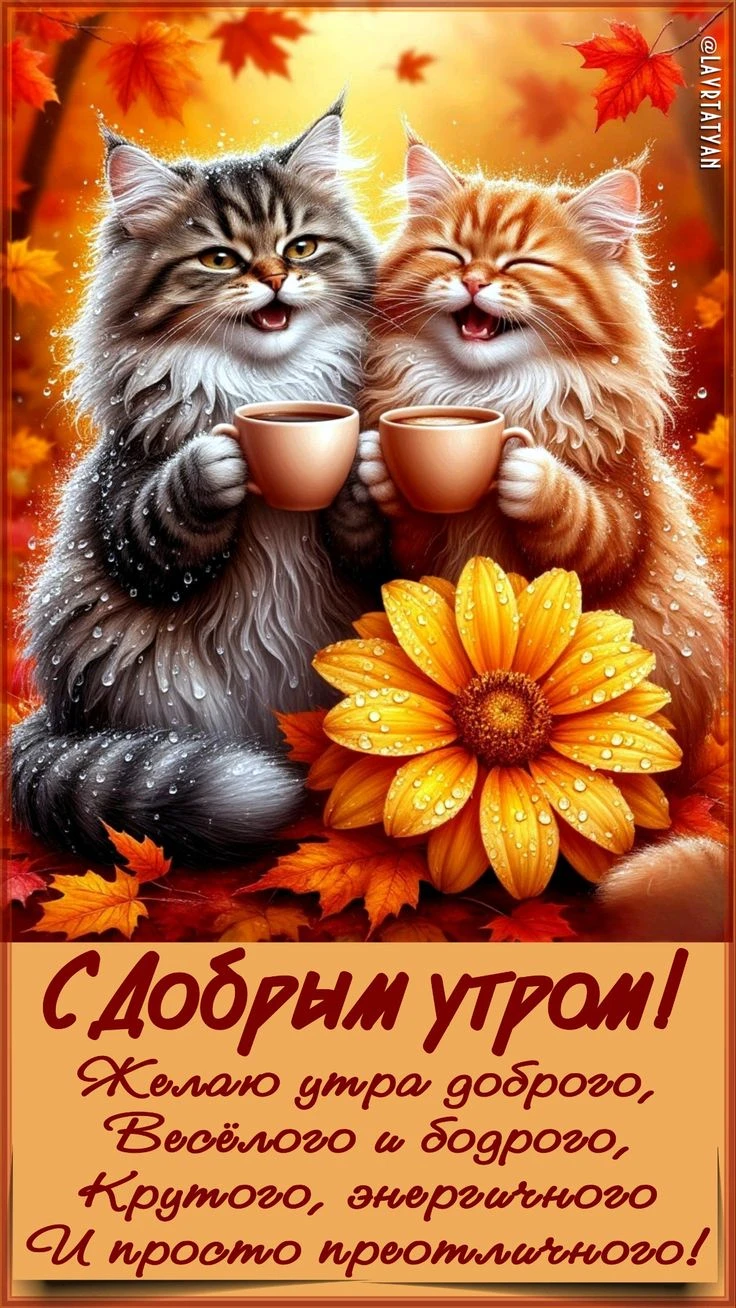 🥰 Оставляйте реакции, если понравилась открытка и делитесь с близкими ❤️
