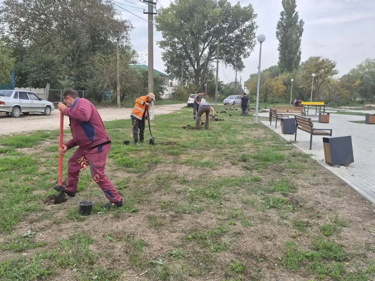 🌳 В Юровке стало зеленее: в местном сквере высадили 56 деревьев