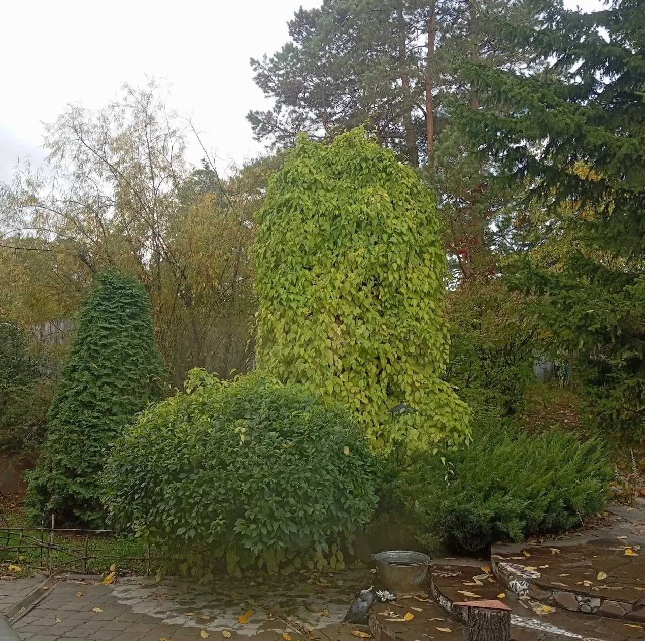 🍁 ОСЕННИЙ АНГАРСК🍁