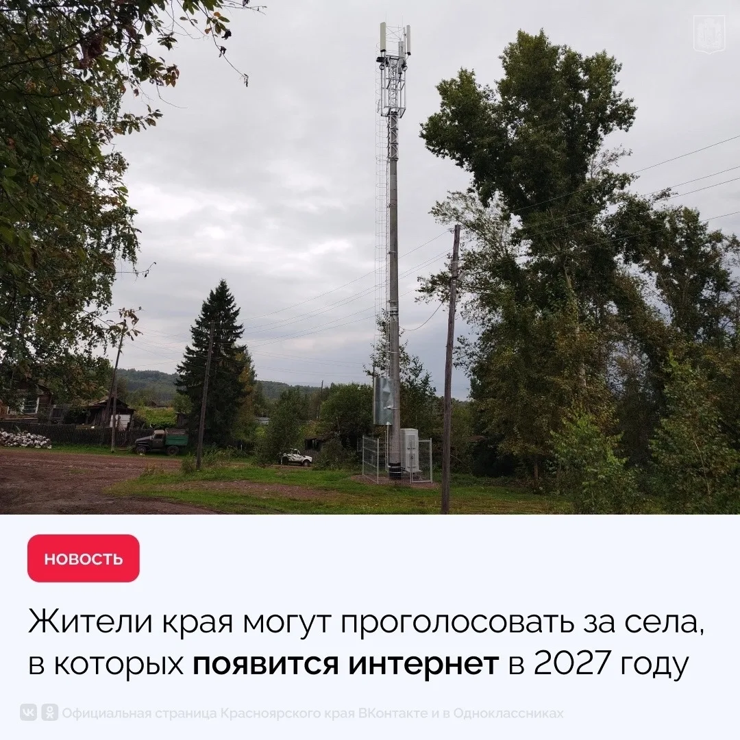 До 8 ноября жители края могут проголосовать за населенные пункты, в которых в 2027 году...