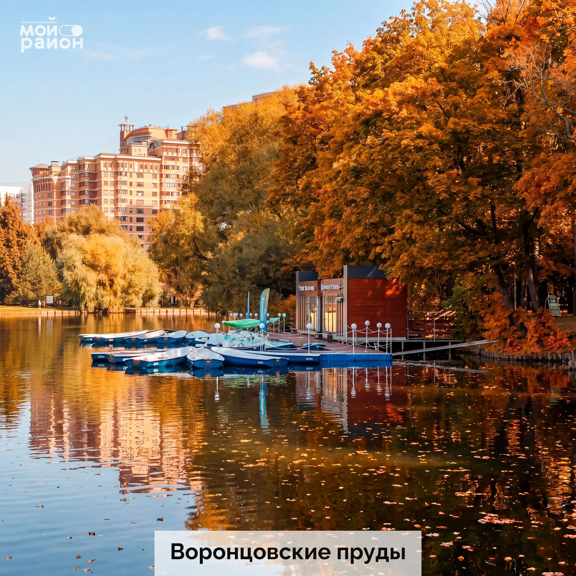 🍂 Этой осенью Нарышкинский пруд в парке «Фили» превратился из тихого уголка в одно из ...