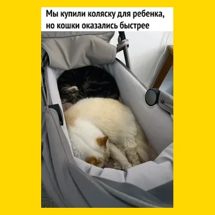 Полный Хохотамбл! Подпишись скорее