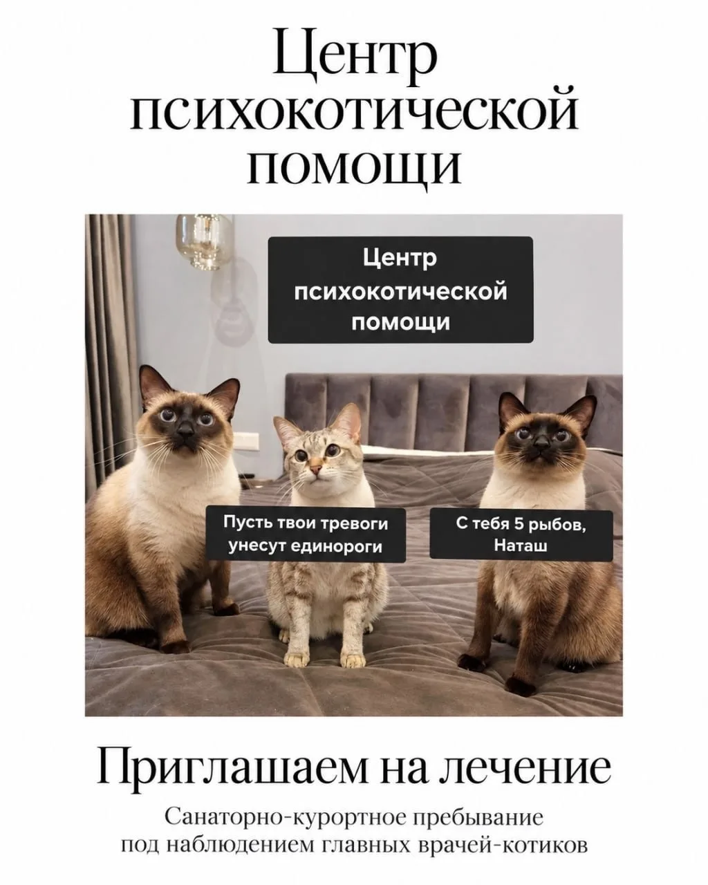 Утро ☕️