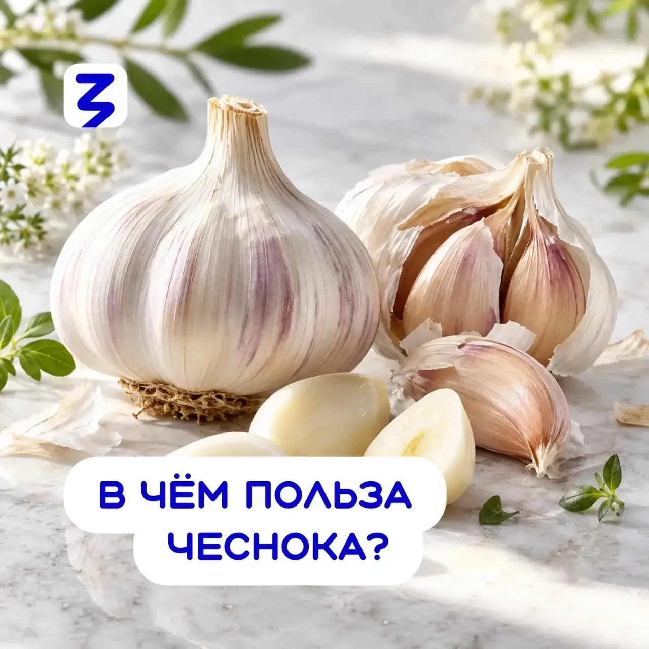 🧄 Ещё в древности люди знали, что чеснок полезен. Но какие именно свойства скрываются ...