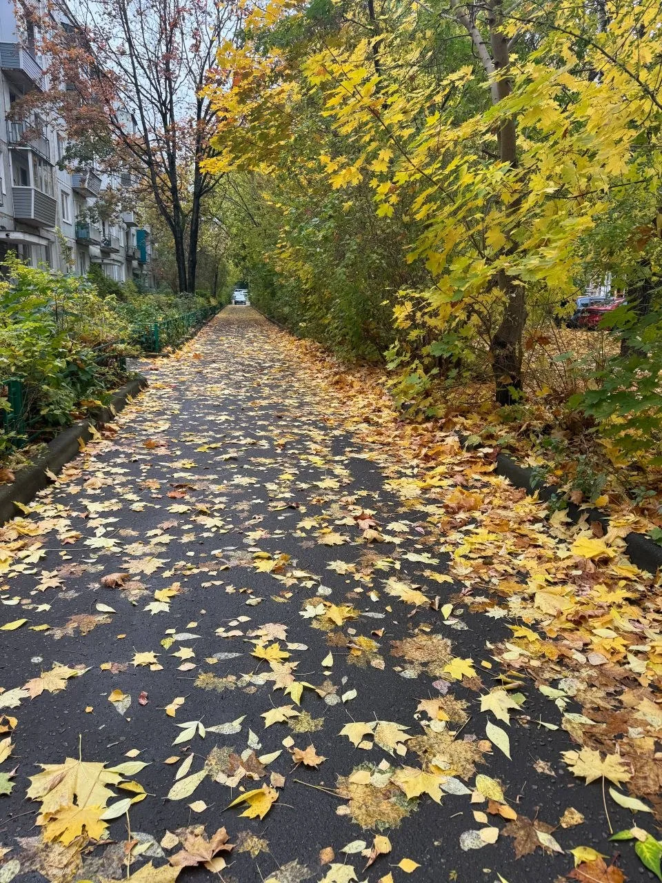 ☀️ До +18 градусов прогреется воздух в Нахабино сегодня, однако к вечеру уже обещают до...