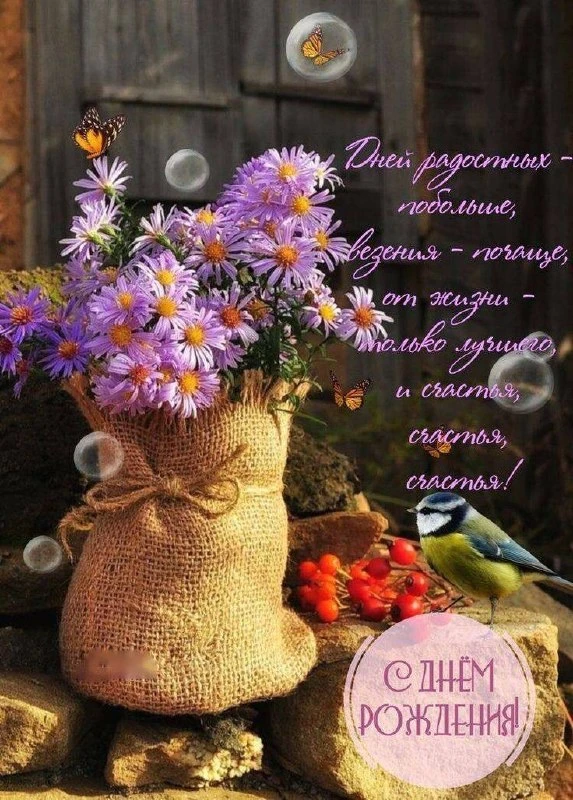 #СДнемРождения