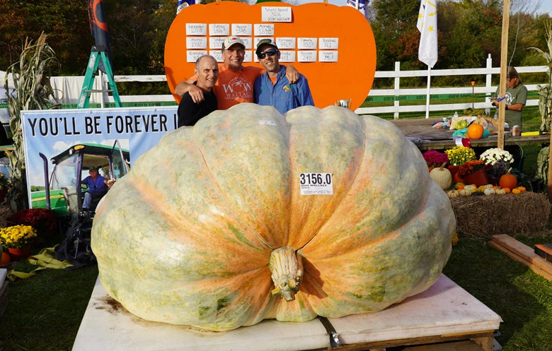 🎃 Вот это овощ!