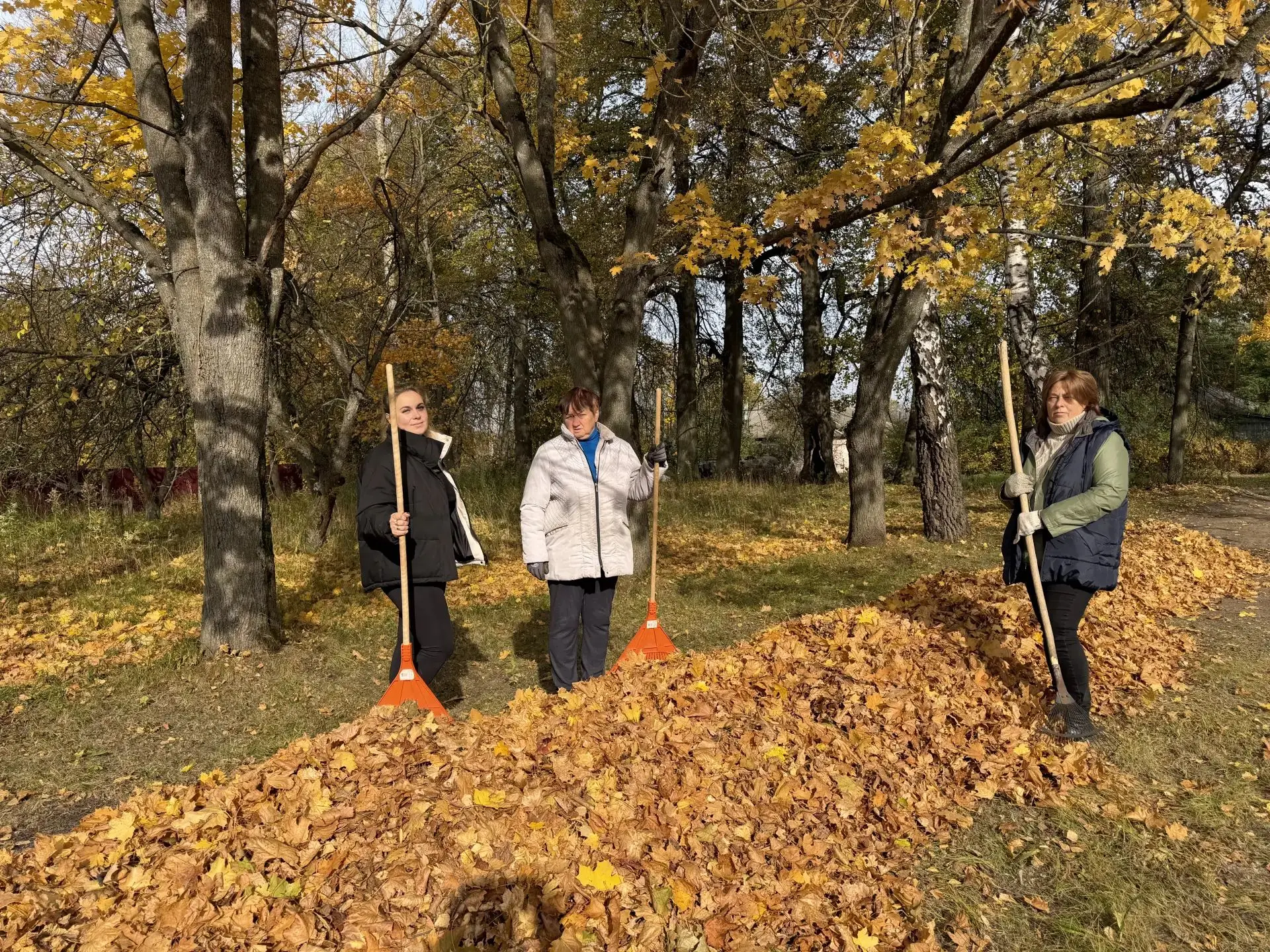 🧹Осенняя уборка: чистота вокруг нас.🍂
