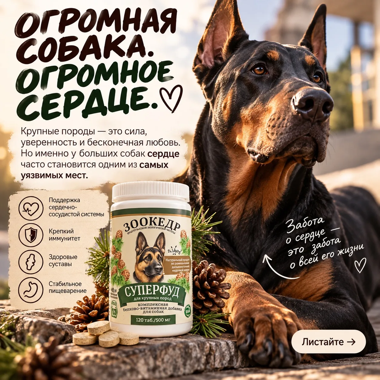 Я вообще считаю, что большие собаки — это отдельный вид любви. ❤️