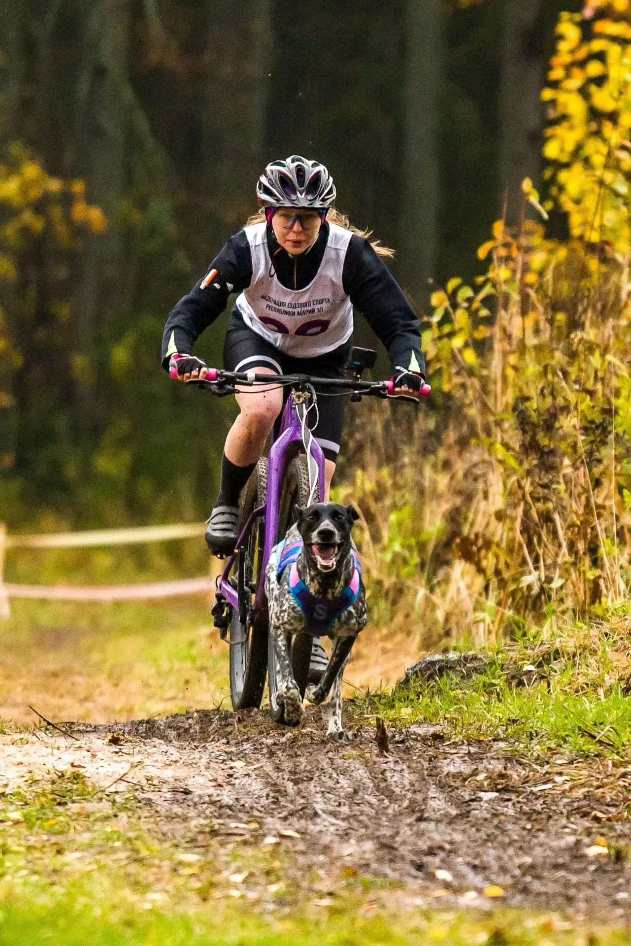 💪Команда Владимирской области вернулась с наградами чемпионата и первенства России по ...
