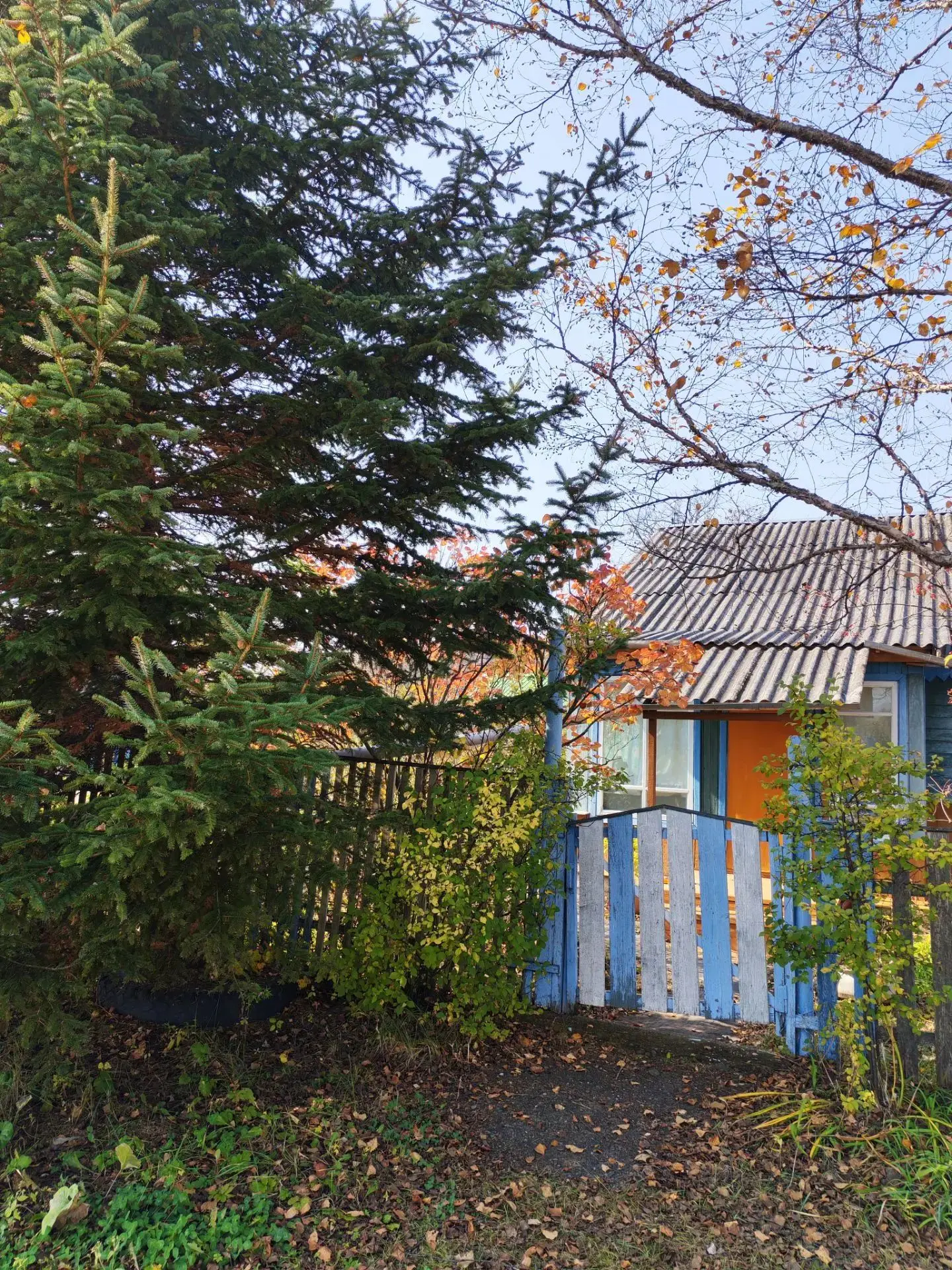 ☀️ Доброе утро, Большой Камень!