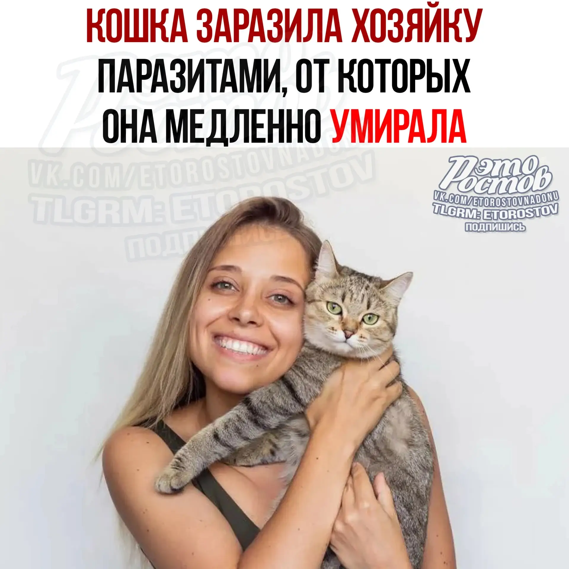🐱 Домашняя кошка заразила хозяйку опасными паразитами!