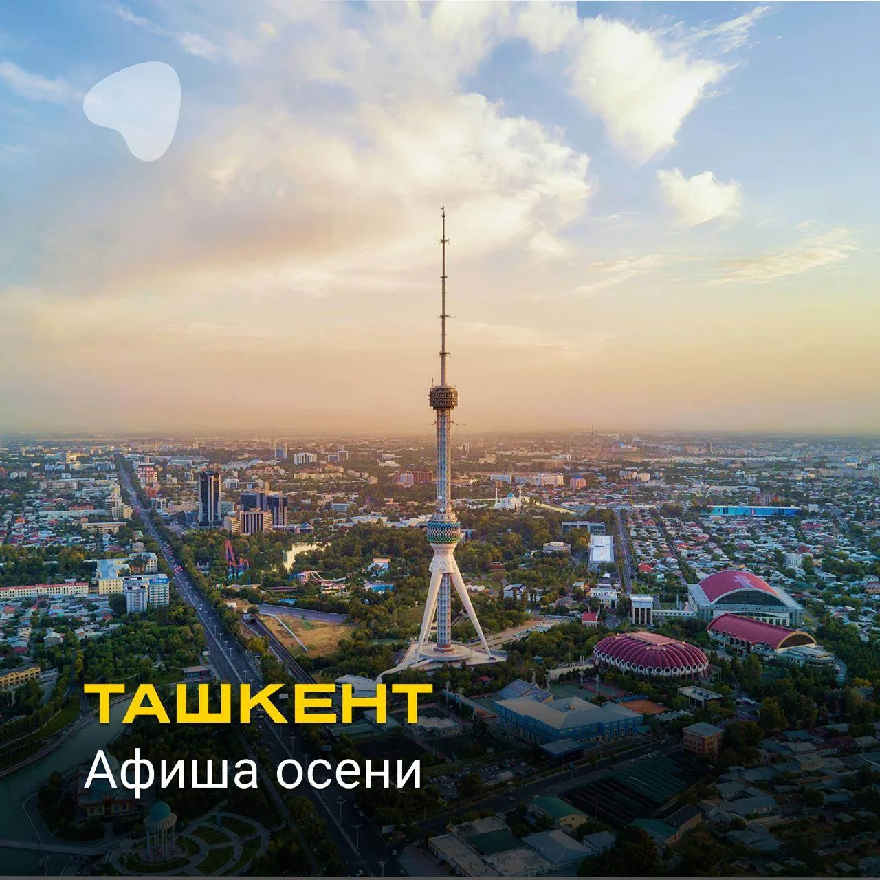 🎤 Ташкент этой осенью: повод для поездки найдётся