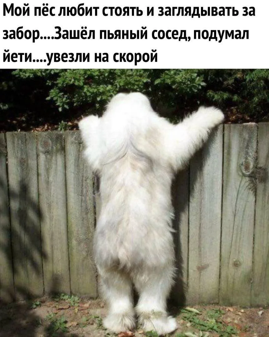 😃Картинки для настроения|👉 Подписаться