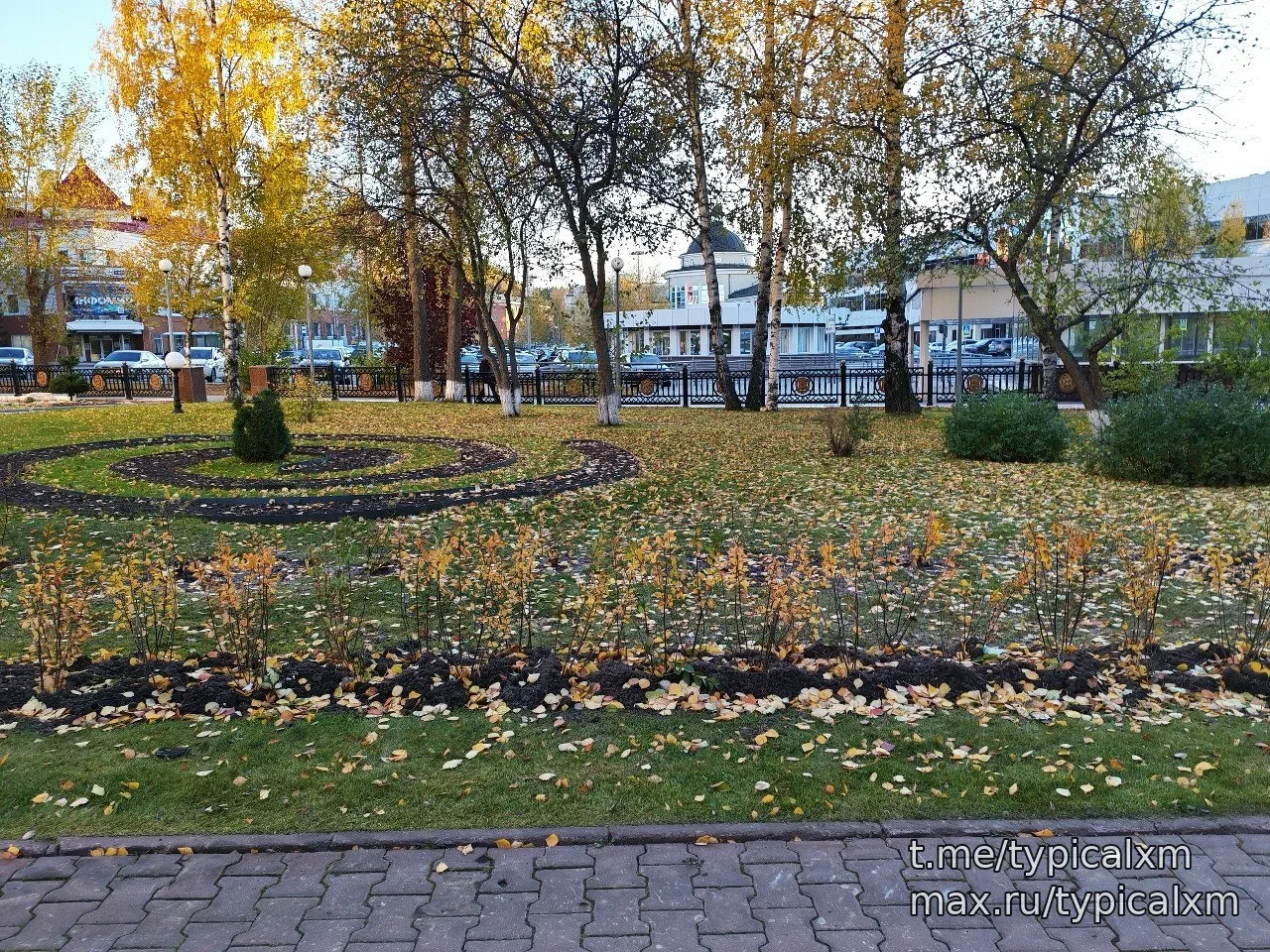У здания Правительства заменили деревья 🌳