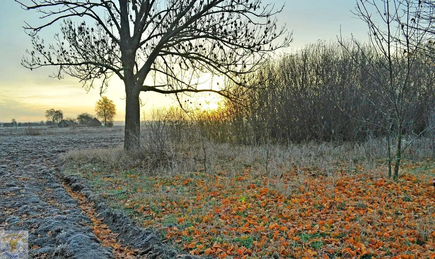 Дорогие огородники и садоводы! 🍂