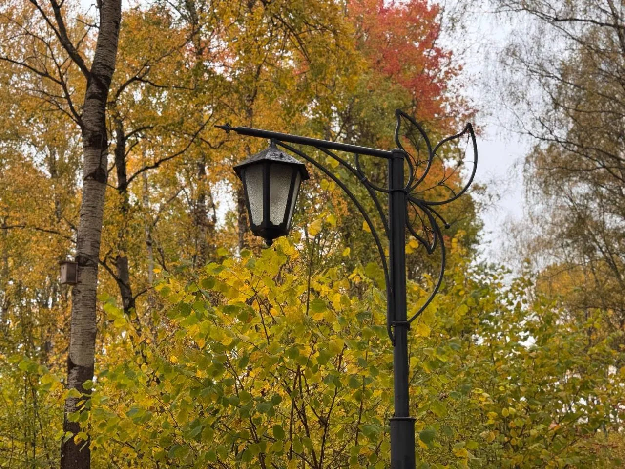 🌳 В Калуге установят 105 новых светильников в Губернском парке