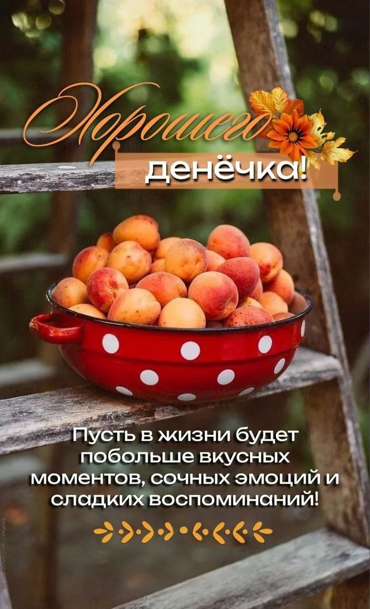 🥰 Оставляйте реакции, если понравилась открытка и делитесь с близкими ❤️