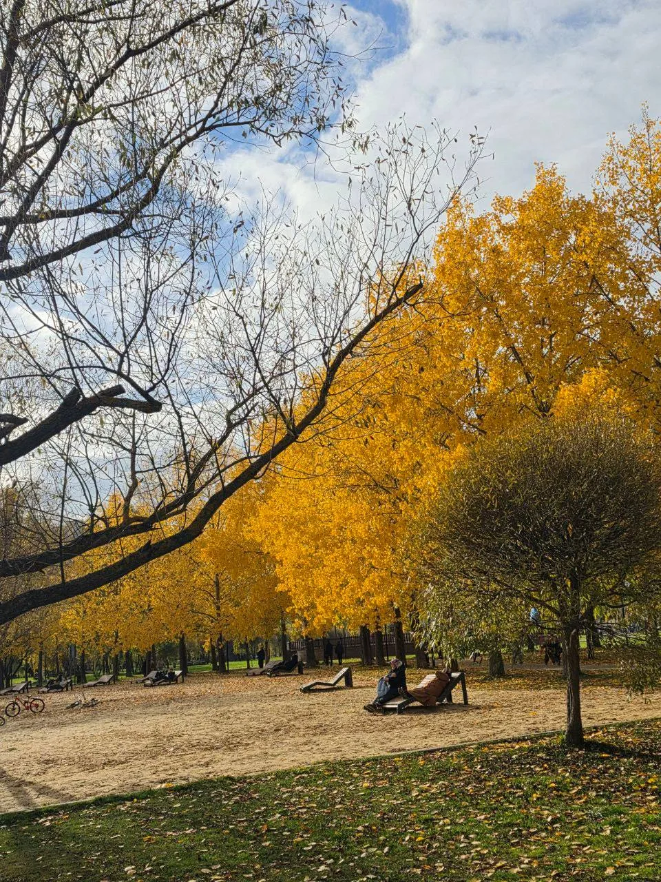 Золотая пора так красива 🍂