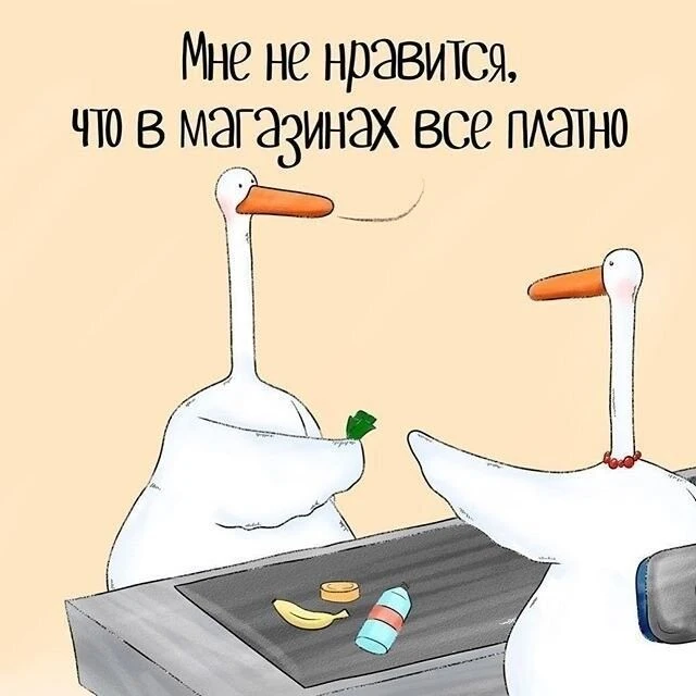 Подпишись, чтобы не потерять👇