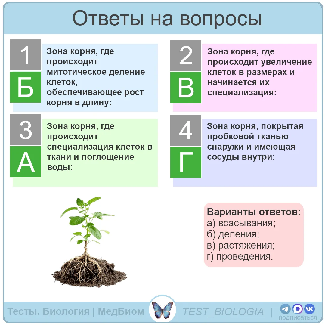 ⬆️ Ответы на вопросы