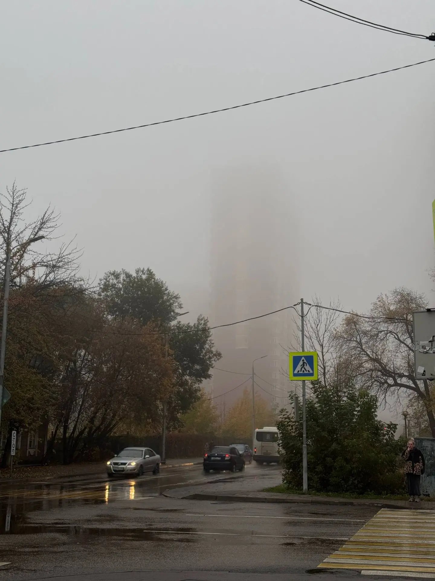 Утро, Ольгино❤️