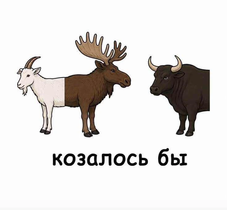 Минутка глупостей)