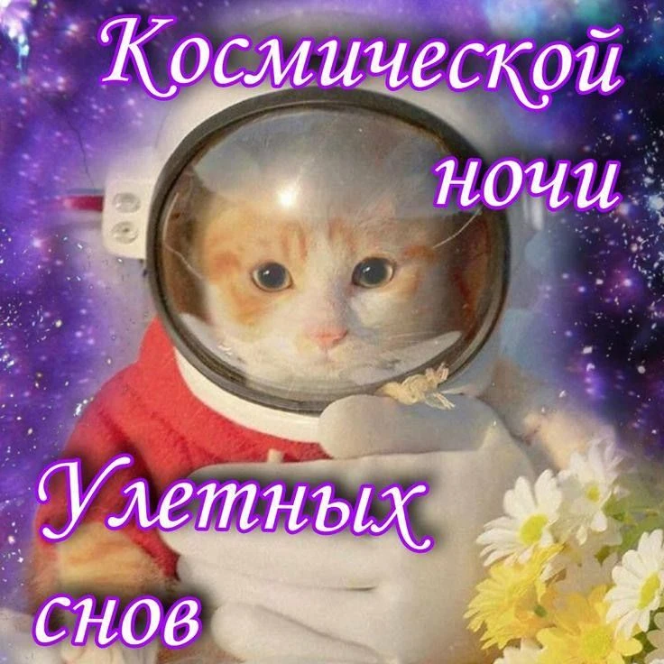 #спокойнойночи