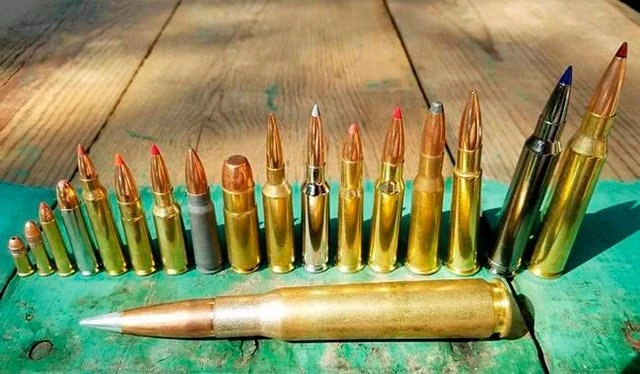 Жителя Елизовского района задержали за призывы к терроризму и хранение боеприпасов