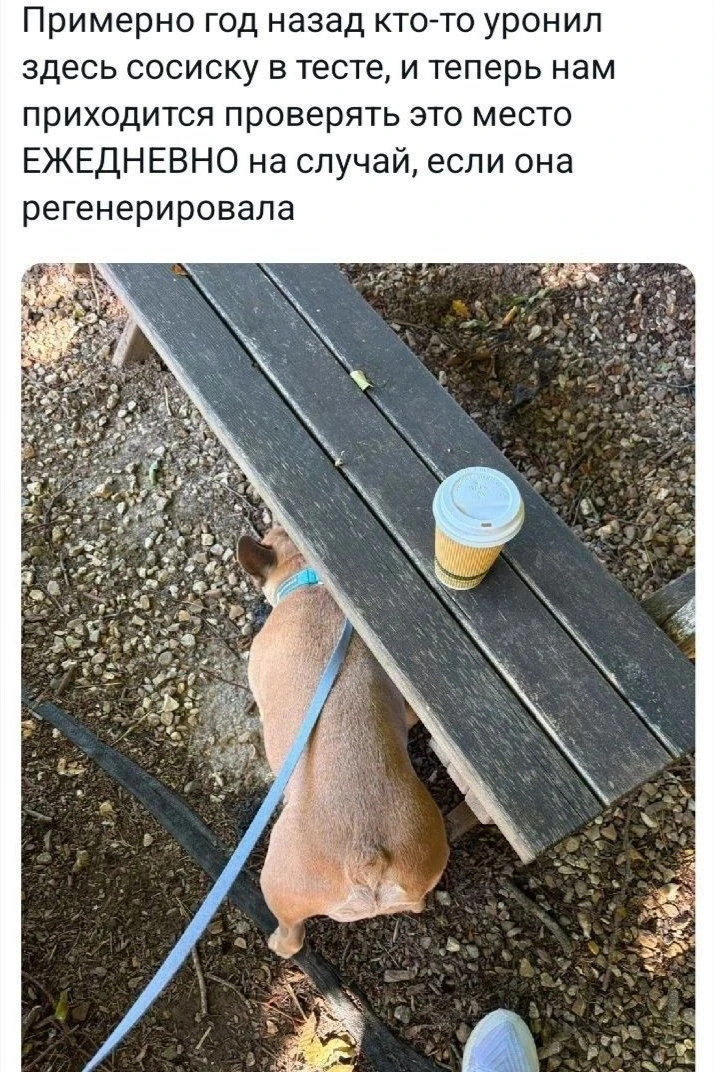 я так в холодильник 20 раз за день смотрю, но ничего не появляется