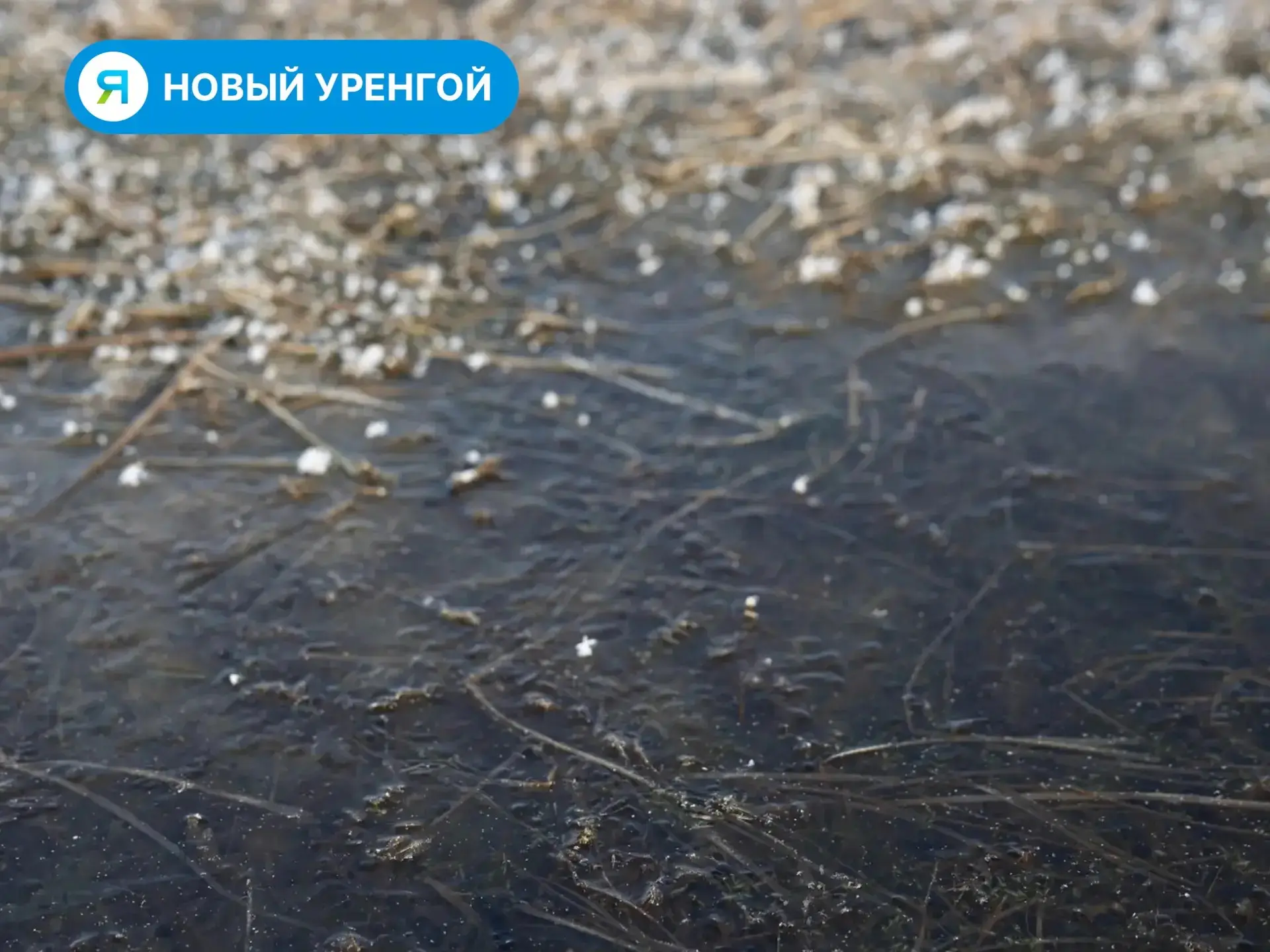 Сегодня в Новом Уренгое — дождь и сильный ветер