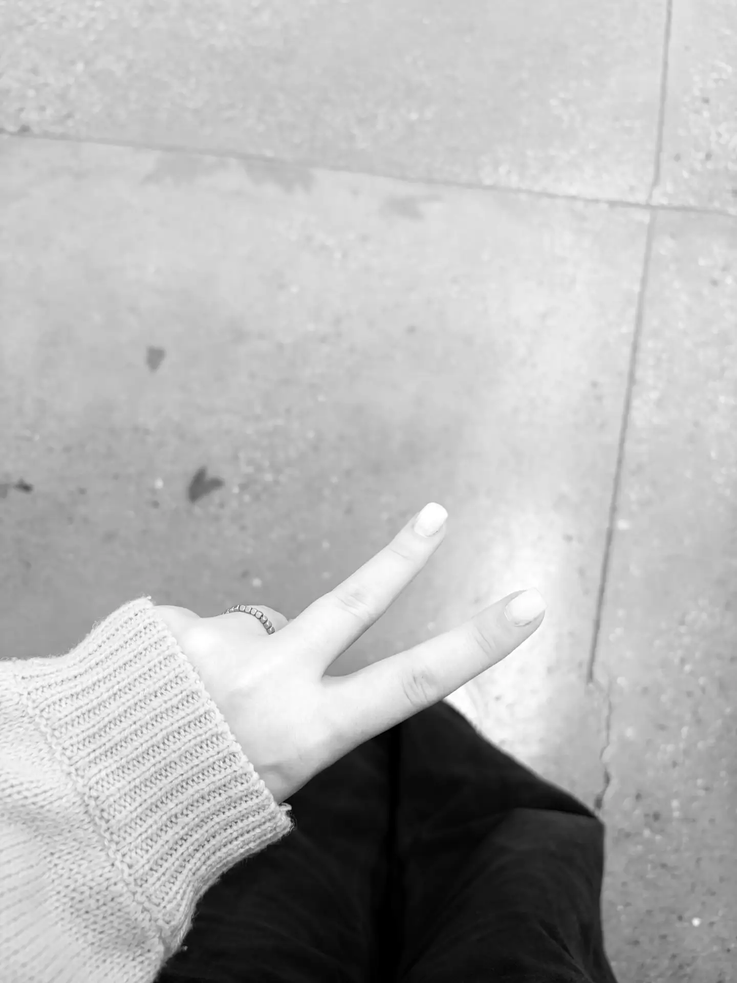 Hi🐻‍❄️