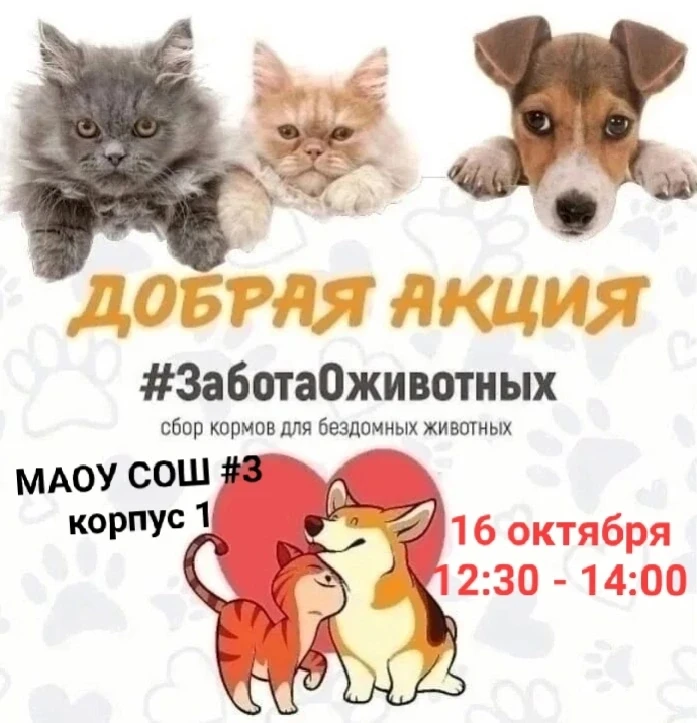 🐱🐶 Внимание! Сбор корма для животных приюта! 🐱🐶