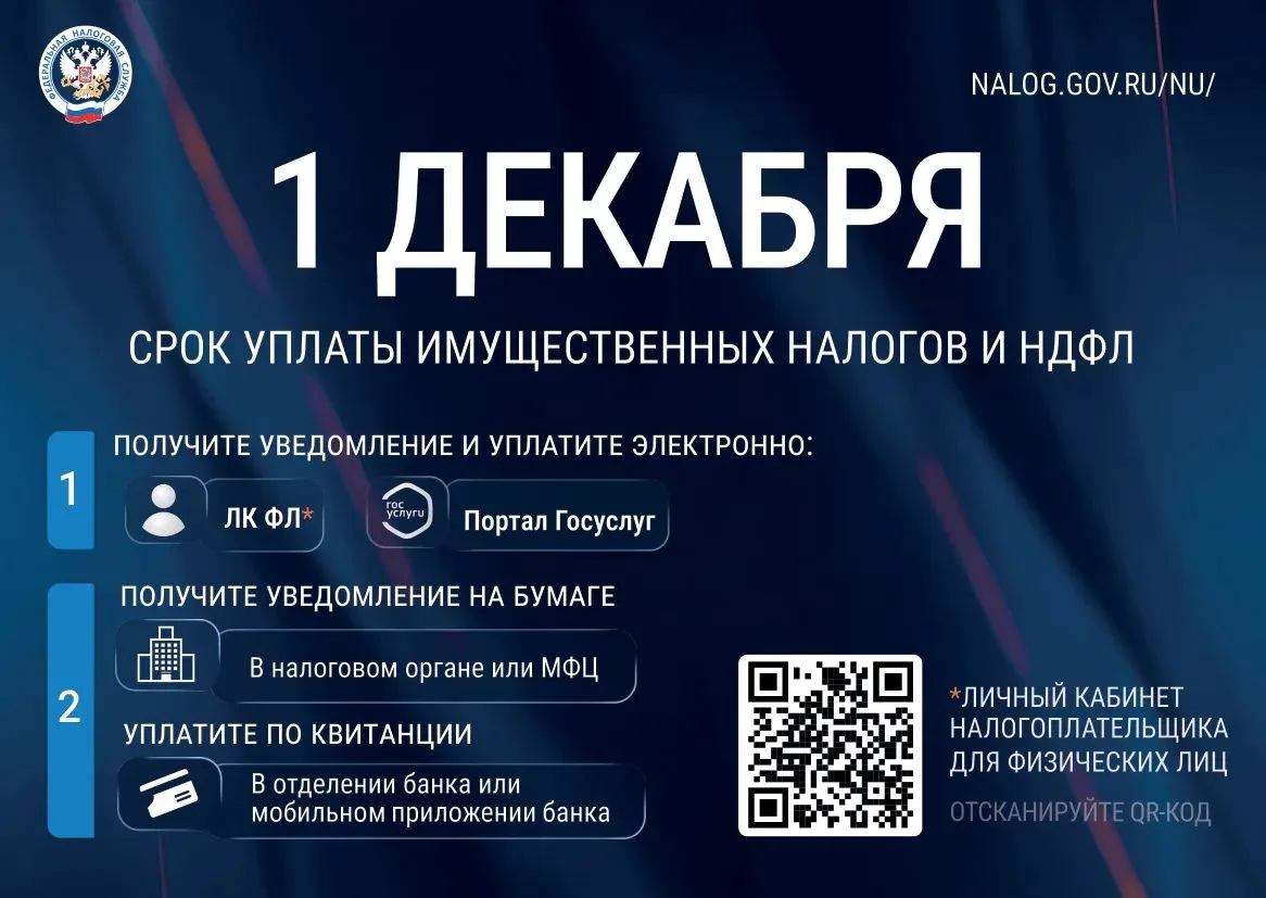 1 декабря — срок уплаты имущественных налогов и НДФЛ