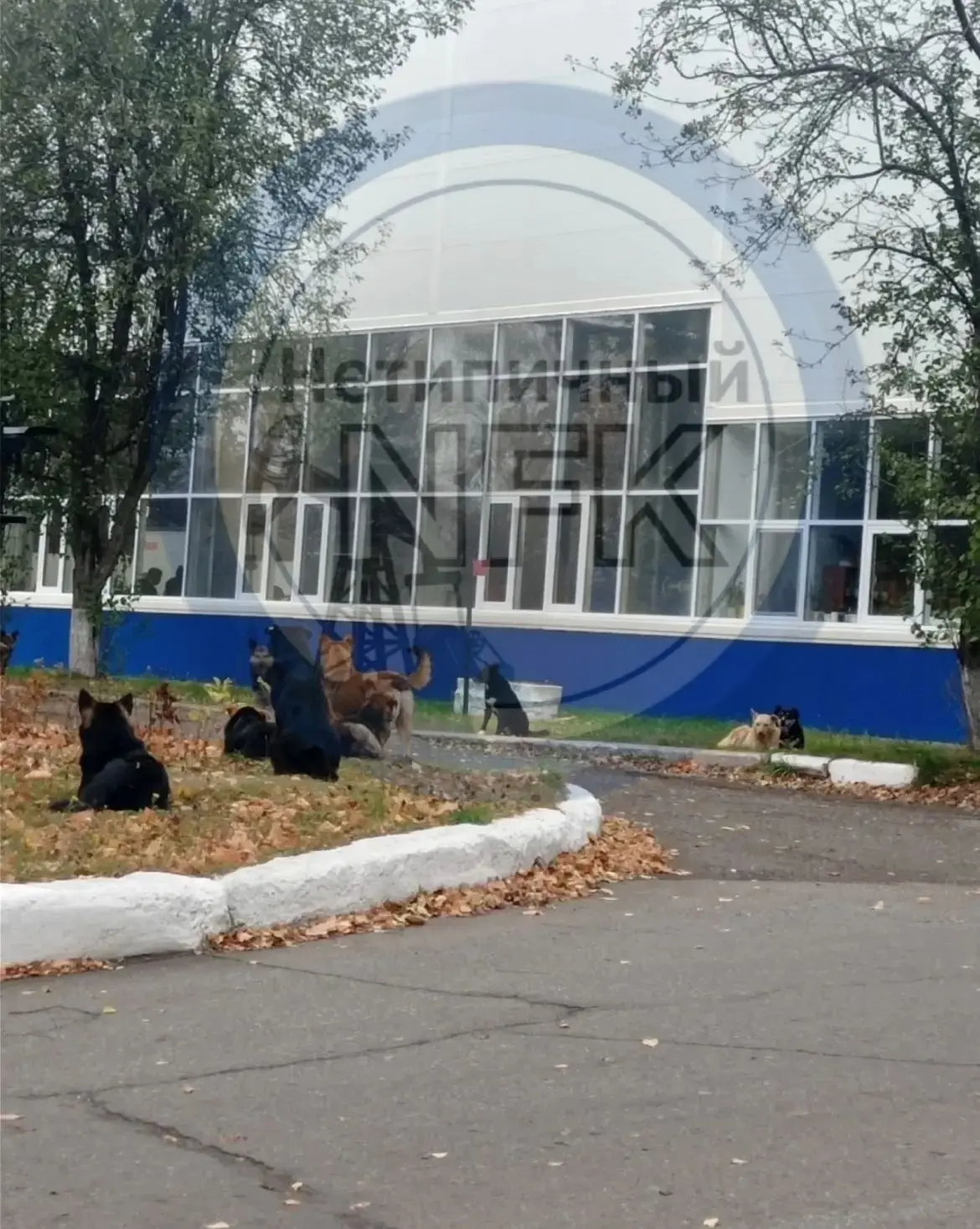 У нас на заводе обитает целая стая бродяг. Куда смотрит администрация завода?