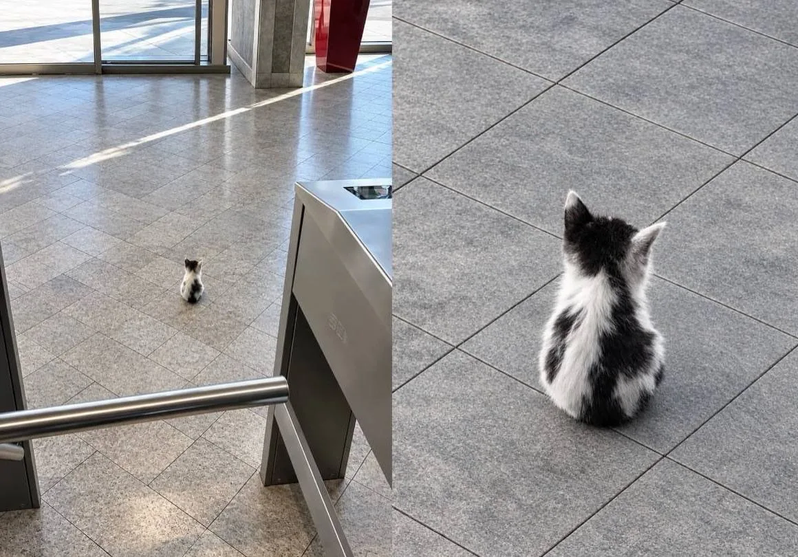🥹Начальник службы безопасности в московском бизнес центре.