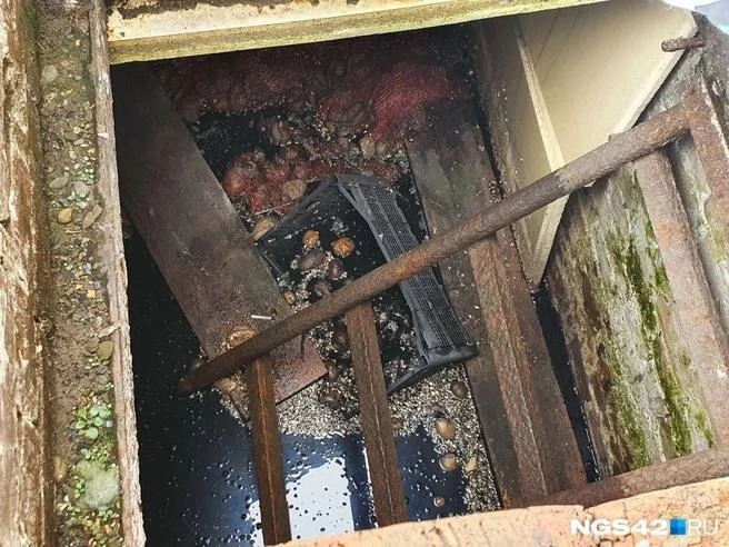 Кемеровчане полгода живут с подтопленными домами