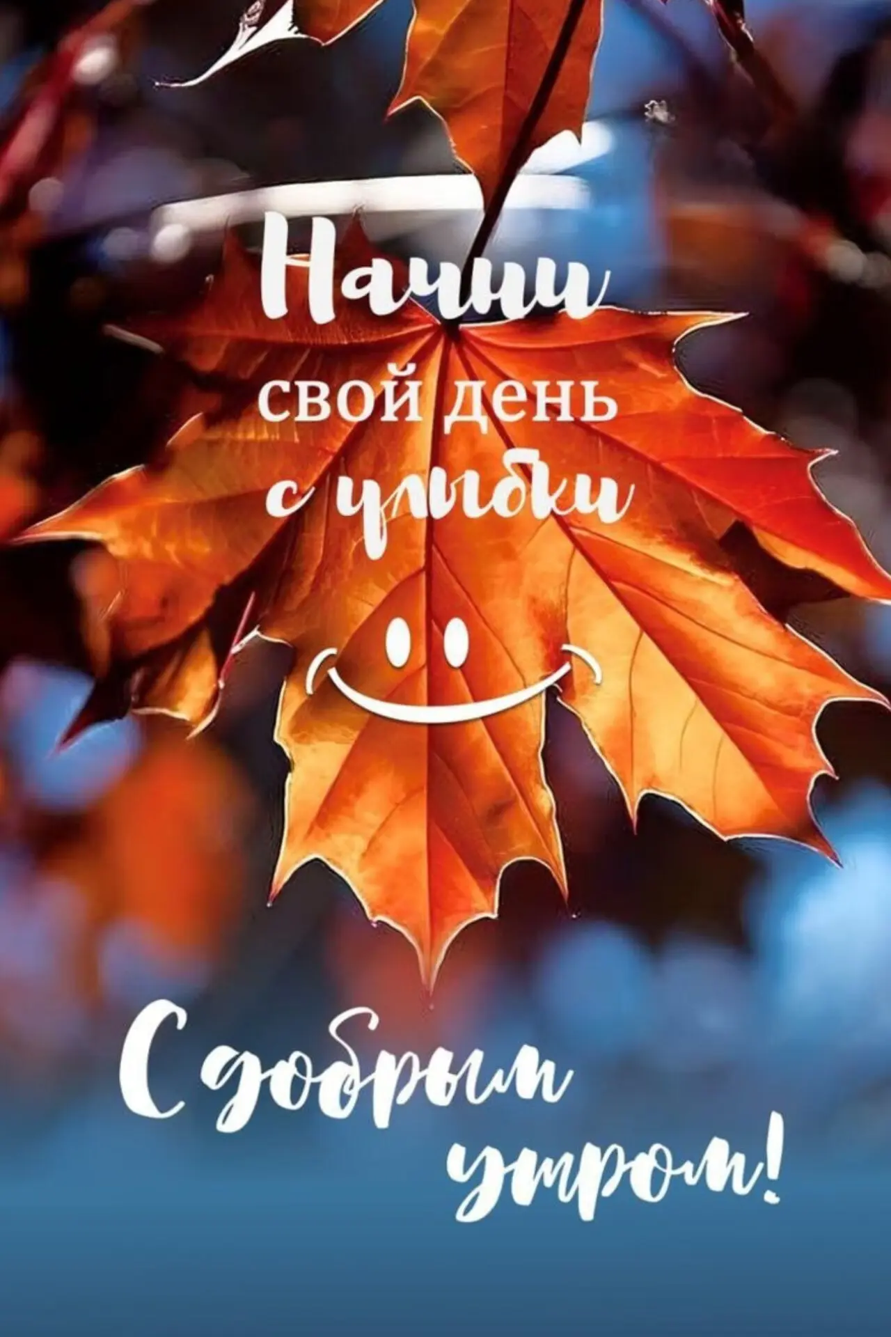 Каждое утро 🌅 — это шанс стать лучше, чем вчера. Не упускайте его, ведь именно из таки...