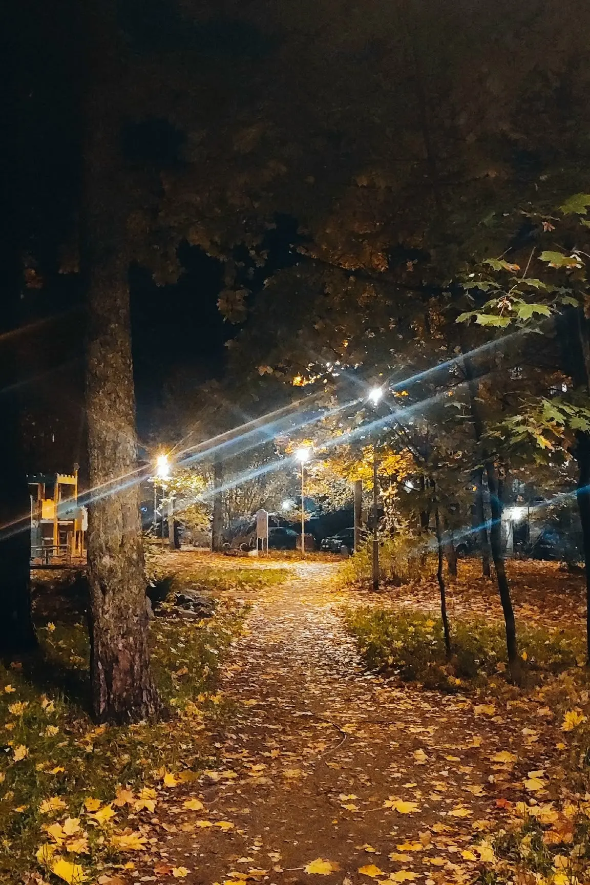 ✨