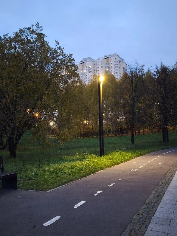 🌳 Вечерний парк в пасмурную погоду