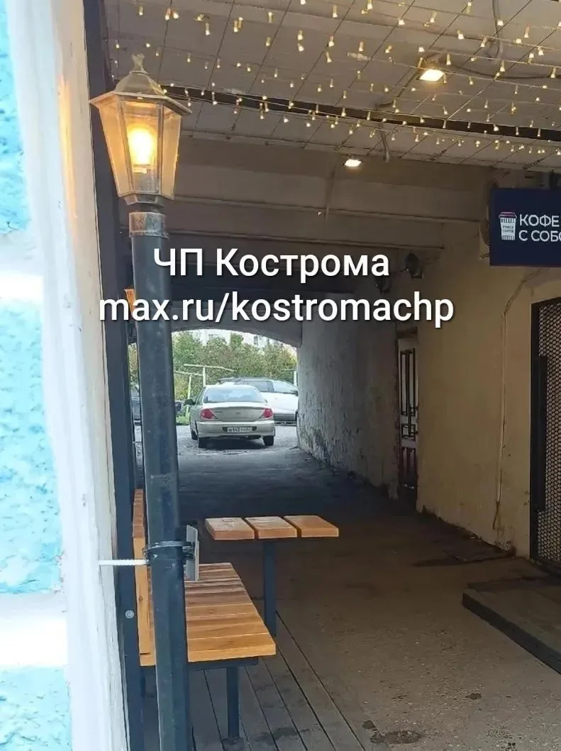 ​В Костроме пропал мазайский заяц