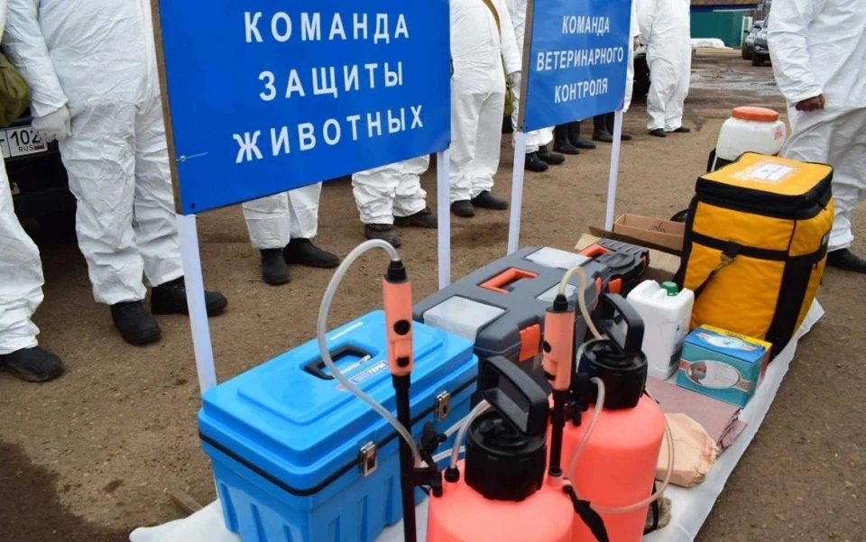 ⚡️В Башкирии могут сократить до 15% сотрудников ветслужбы