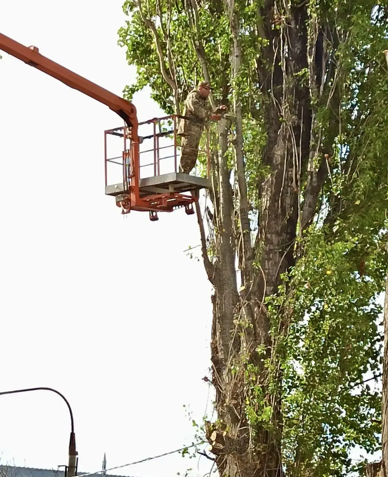 Работа кипит…👷‍♂️