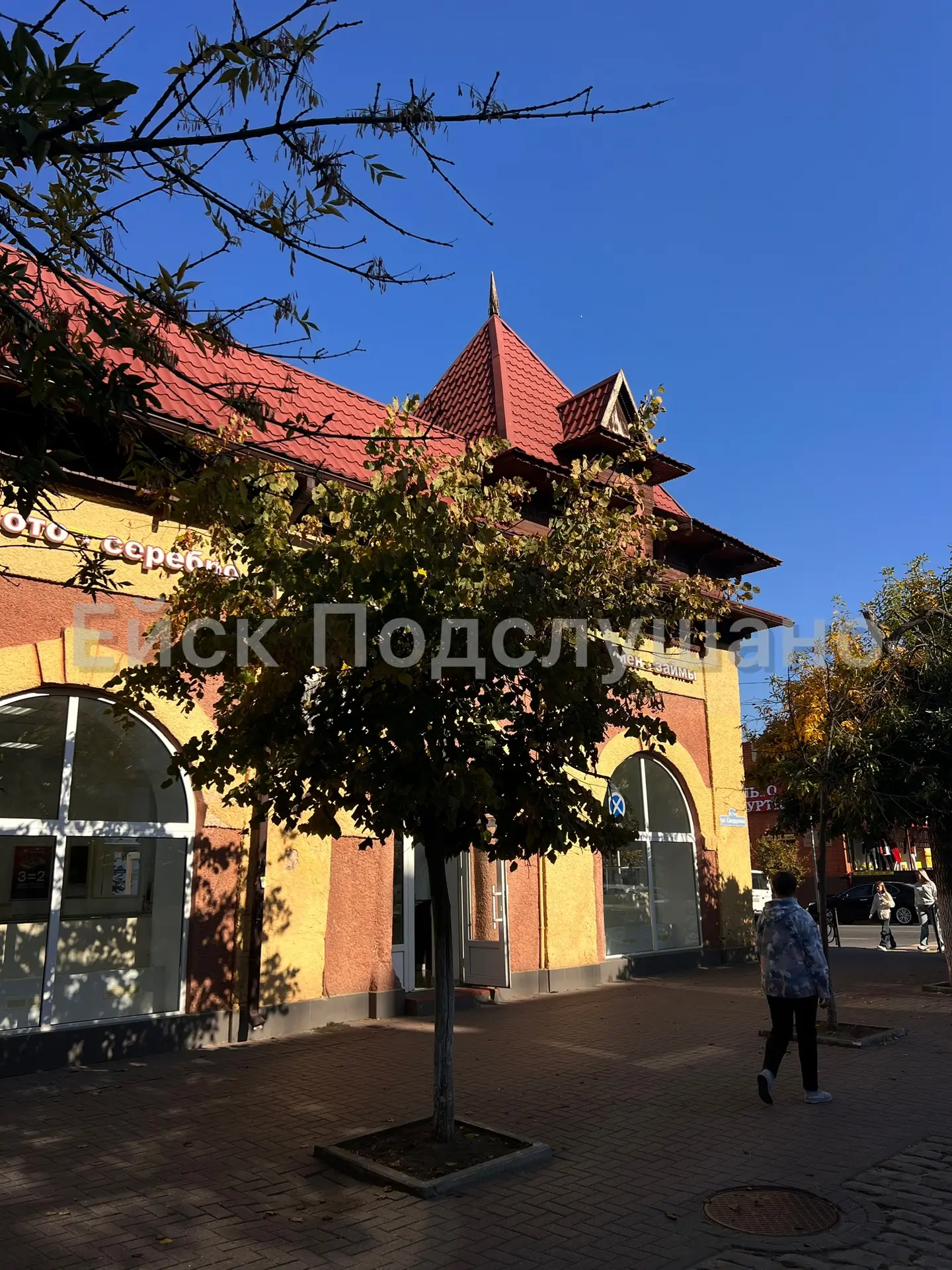 Ну что за варвар так обрезал деревья, это же какой то кошмар! Наймите для города уже ор...