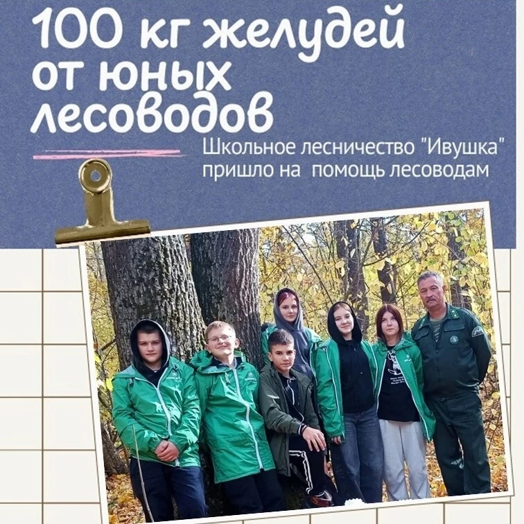 🌰Воспитанники школьного лесничества «Иволга» помогли работникам Воронцовского лесничес...