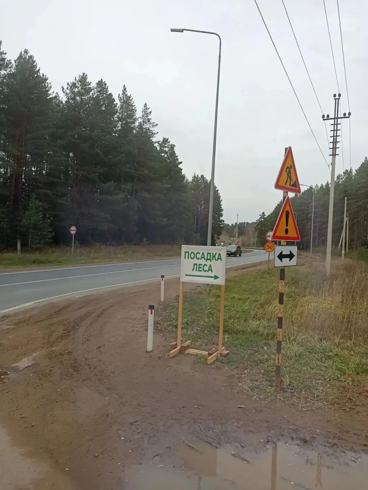 Всероссийскую акцию "Сохраним лес" поддержали команды регионального Росреестра, Роскада...