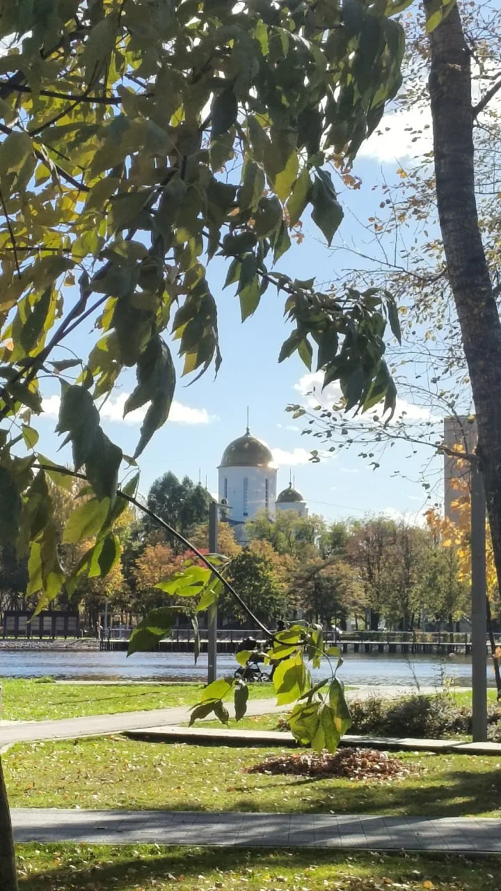 🍂Золотая осень царит в сквере у "Марса"!